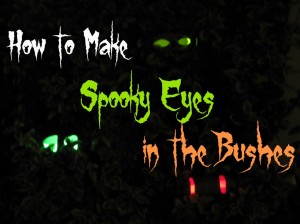 How-to-Make-Spooky-Eyes-in-the-Bushes-for-Halloween-1024x768