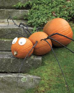 No-Carve-Pumpkin-Ideas-spider